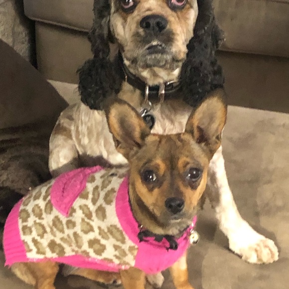 DJ - Picture 13 of 16